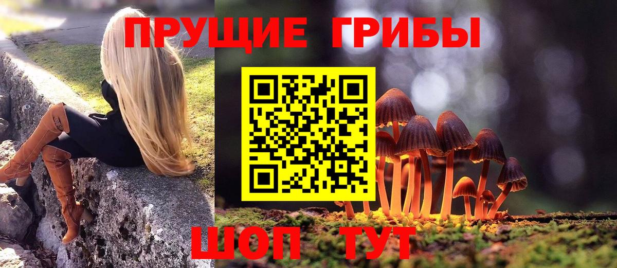 Медногорск  как найти закладки  Вход с VPN  Псилоцибиновые грибы мицелий 