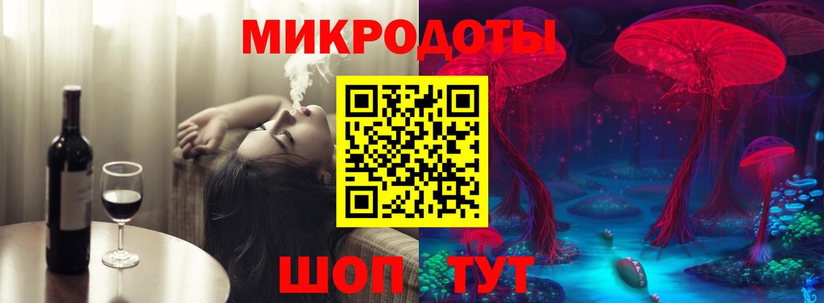 Галлюциногенные грибы Psilocybine cubensis Медногорск